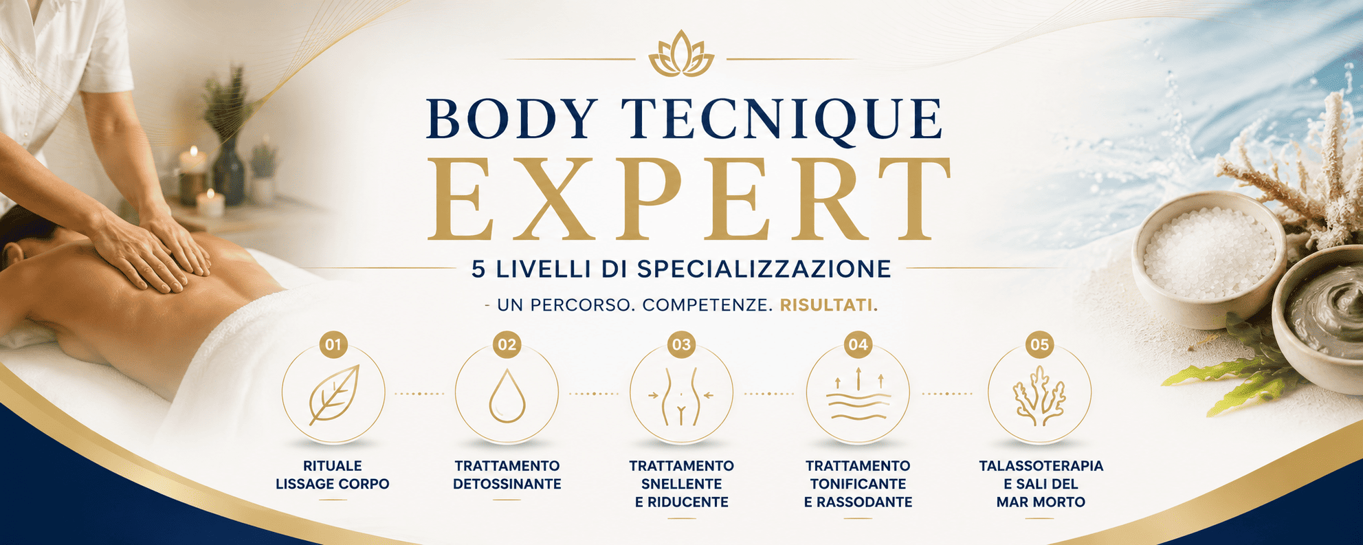 Header_body_expert2026.png